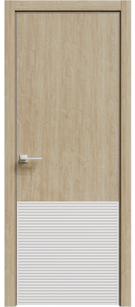 фото двери Rain 1