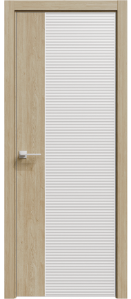 фото двери Rain 8